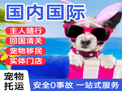 盐城南洋空运地址国际宠物托运 【国